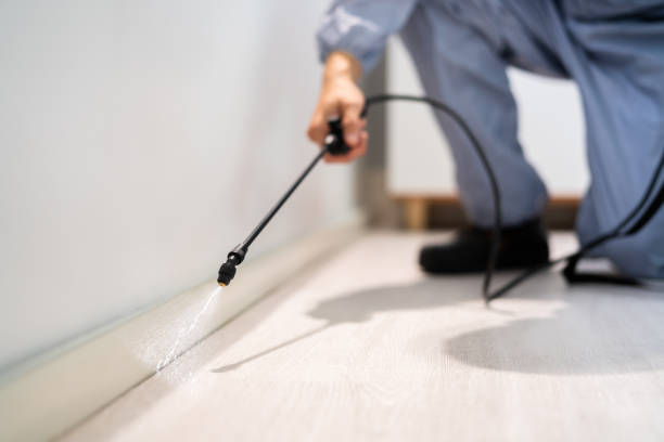 Certified termite inspector examining foundation in Calumet City