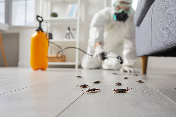 Commercial Kitchen Cockroach Control in Calumet City